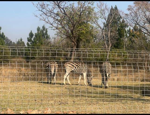 LAND FOR SALE IN ROODEPLAAT DAM
